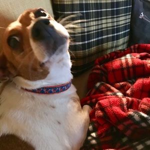 Meet your Posher, Lynn